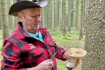 Unglaublicher Pilzfund im Erzgebirge: Großer Steinpilz Anfang November entdeckt - Einen Steinpilz hat Familie Loth Anfang November gefunden.
