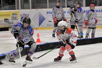 Ungleiches Duell: Wahren die Eishockey-Wölfe ihre 11er-Reihe gegen Weißwasser? - Der Wölfe-Nachwuchs – hier Gregor Müller (l.) von der U 11 im Spiel gegen Crimmitschau – ist am Sonnabend im Schönheider Wolfsbau zu erleben.