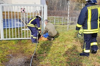 Unglücklich reingerutscht: Feuerwehr muss Reh in Penig befreien - Die Feuerwehr Penig konnte am Silvestertag ein Reh aus dem Tor der Wasserkraftanlage Thierbach befreien.