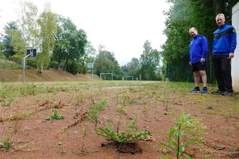 Unkrautbewuchs: Sportunterricht an Zschopauer Nexö-Schule derzeit nur eingeschränkt möglich - Die Sportlehrer Heiko Sommer (rechts) und Uwe Kaiser gehen mit ihren Schülern kaum noch auf den Sportplatz, weil regulärer Unterricht dort aufgrund des vielen Unkrauts kaum möglich ist.