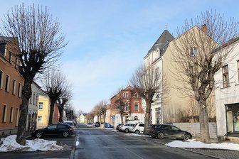 Unnötig schneller Griff zur Kettensäge? Stadt im Vogtland diskutiert über abgeschaffte Baumschutzsatzung - Bäume säumen einige innerstädtische Straßen in Treuen. Wo wird bei Fällungen neu gepflanzt?