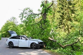 Unter Alkoholeinfluss: Audifahrerin prallt kurz vor Ortseingang Seiffen gegen Baum - Ein Unfall hat sich am Sonntagvormittag kurz vor dem Ortseingang Seiffen ereignet.