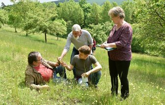 Unter der Lupe: Die schönsten Bergwiesen im Vogtland - Wo sind die schönsten Bergwiesen im Vogtland?