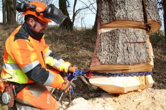Unter Spannung: Stürme stellen Wehren in Schönfeld vor zusätzliche Aufgaben - Ausbildungsleiter Paul Schaarschmidt legt einen Baum in Ketten. Mit einem Traktor sollte der Koloss zu Fall gebracht werden. 