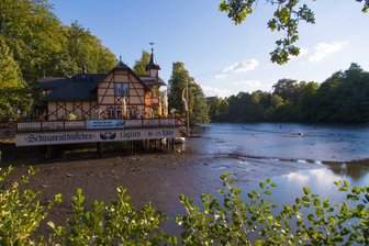 Unterer Kreuzteich läuft nahezu aus - Wegen des Bruchs eines Staubretts am Überlauf ist der Untere Kreuzteich in Freiberg in der Nacht vom Freitag auf Samstag nahezu komplett ausgelaufen.