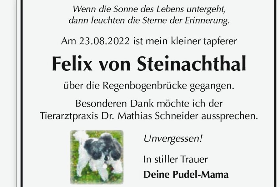 Unvergessen! Vogtländerin gibt Traueranzeige für ihren Hund auf - Im August starb Pudel Felix von Steinachthal. Sein Frauchen hat dem Tier zu Ehren eine besondere Traueranzeige in der "Freien Presse" aufgegeben.
