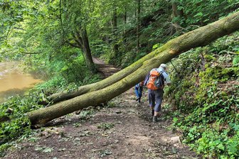 Unwetter in Burgstädt: Massive Schäden im Brauselochtal - Im Naherholungsgebiet Brauselochtal zwischen Burgstädt und Rochsburg versperren umgestürzte Bäume den Wanderweg. Das Betreten erfolgt auf eigene Gefahr, heißt es auf der Homepage von Schloss Rochsburg.