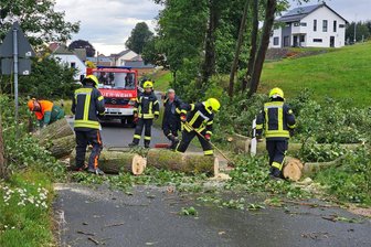Unwetter in Heinsdorfergrund: Bäume umgestürzt und Autos beschädigt - In Hauptmannsgrün beseitigen Feuerwehrleute einen umgestürzten Baum.