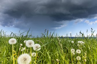 Unwetterwarnung für weite Teile Sachsens - Gewitterzelle bei Grumbach, fotografiert von Annaberg-Buchholz