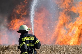 Update: Polizei ermittelt nach Feldbrand wegen Brandstiftung - An der Straße zwischen Wechselburg und Nöbeln hat es am Donnerstag gebrannt - gleich an drei Stellen.