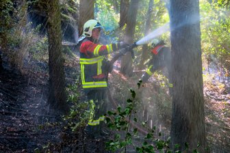 Update: Waldbrand offenbar durch Lagerfeuer ausgelöst -