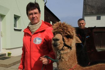 Urlaub auf dem Bauernhof: Im Vogtland noch Luft nach oben - Ursula und Matthias Stöcker aus Buchwald vermieten eine Ferienwohnung und bieten Wanderungen mit Alpakas an.