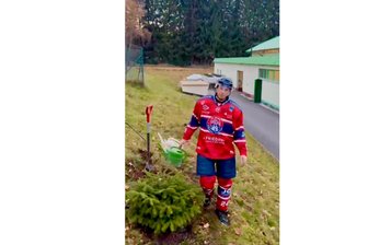 Vandalismus bei den Eishockey-Wölfen im Erzgebirge: Wer stahl das frisch gepflanzte Bäumchen? - Vergangene Woche pflanzte Wölfe-Spieler Florian Richter die Nordmann-Tanne auf dem Gelände des Eishockey-Stadions in Schönheide. Wenige Tage später war das Bäumchen weg.