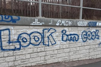 Vandalismus in Mittelsachsen verursacht Kosten im fünfstelligen Bereich - In Mittweida hat die Anzahl der Graffiti in diesem Jahr zugenommen, berichtet die Stadtsprecherin. Der Vandalismus im Stadtgebiet ist aber nicht auf Schmierereien beschränkt.