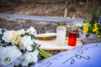 Vater bei Fällarbeiten in Sachsen von Baum erschlagen: Spendenaktion gestartet - An der Unglücksstelle im Seidewitztal gedenken Trauernde mit Kerzen und Blumen dem 33-jährigen Familienvater.