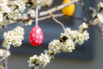 Veranstaltungen und Tipps für Familien: Zum Oster-Spezial - 
