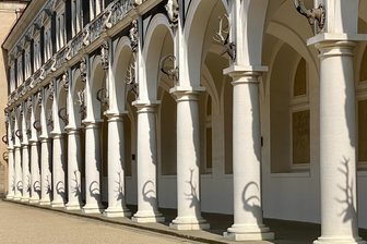 Verblüffende Geweih-Parade: Doch den Schlossherrn lassen die Schatten im Dresdner Stallhof kalt - Nur an wenigen Tagen im Jahr, und dann nur für kurze Zeit, erscheinen die Schatten der Hirsch- und Steinbock-Skulpturen an den Säulen des Stallhofs Dresden.