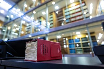 Verdachtsfall AfD: Urteil in Münster muss warten – hat es die AfD darauf angelegt? - Die mündliche Verhandlung zur Einstufung der AfD am Oberverwaltungsgericht in Münster ist vertagt – aber wie lange?