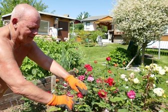 Verdoppelte Pacht bereitet Kleingartenvereinen in Amtsberg Sorgen - Für Rentner Michael Bauer aus Einsiedel ist sein Garten am Dittersdorfer Südhang im Sommer der schönste Platz. 