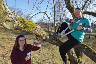 Verein Lebenshaus bringt Deutsche und Zugewanderte in Lichtenstein zusammen - Nicole Ritter (links) und Anastasia Herasymenko leiten beim Verein Lebenshaus das neue Projekt „Halbe-halbe“. Am Mittwoch gab es beim Obstbaumschnitt die erste öffentliche Aktion.