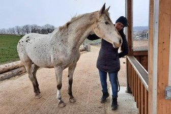 Verein setzt auf faires Miteinander von Mensch, Pferd und Natur - Julia Beyer mit dem Therapiepferd Frida.