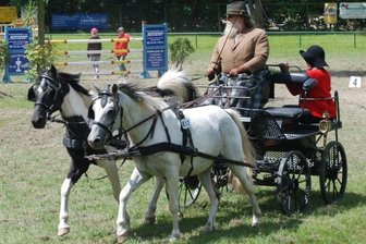 Verein will mit Turnier aus der Corona-Pause reiten - Eine Szene aus dem Vor-Corona-Geschehen von Veranstaltungen des Reit- und Fahrvereins in Limbach-Oberfrohna: Kutschfahrerkünste werden bei der Veranstaltung Faszination Pferd präsentiert. 
