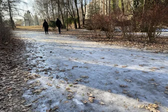 Vereiste Wege in Chemnitz: Wie die Stadt damit umgeht - Der Hauptweg im Stadtpark ist vereist und trotzdem stark frequentiert.