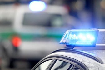 Verkehrsbehinderungen nach Wildunfall -