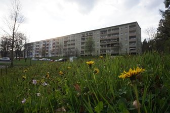 Verkehrsberuhigter Bereich: Vorstoß für Wohngebiet in Bad Elster - Blick auf das Wohngebiet „Am Kuhberg“ in Bad Elster.