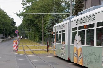 Verkehrsbetriebe kommen beim Bau der Grünen Stadtbahn voran - Der Abschnitt nahe der Haltestelle "Virchowplatz" ist jetzt als sogenanntes Grüngleis fertiggestellt worden.