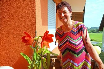 Verkehrte Welt in Reichenbach - oder eine Laune der Natur - Auf dem Balkon in der Händelstraße blüht eine Amaryllis mitten im Sommer.