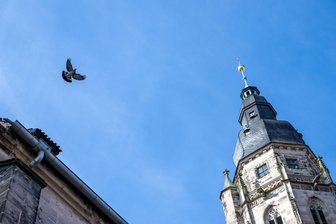 Verlegt den Buß- und Bettag in den Mai! - Es ist wieder Buß- und Bettag, aber die Rituale der Kirche sagen vielen Menschen nichts mehr.