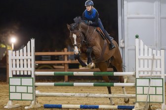Verletzungsschock vor dem Großen Preis von Sachsen: Springreiterin Fabienne Bender aus Burgstädt startet trotzdem - Wegen einer Verletzung musste sich Fabienne Bender kurzfristig ein Ersatzpferd leihen. Schon nach wenigen Minuten des Kennenlernens wagt sie sich mit „Sam“ an die ersten Sprünge.