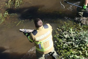 Vermeintliches Krokodil löst Großeinsatz in Sachsen aus - Sah täuschend echt aus: Dieses vermeintliche Krokodil haben Kameraden der Ortswehr Kössern in der Mulde "eingefangen".