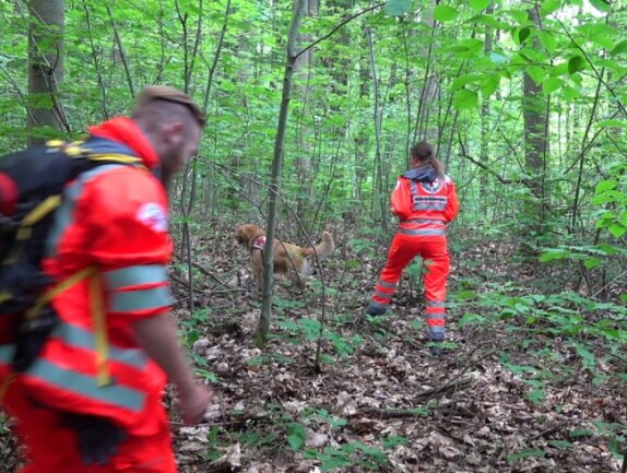 Vermisst: In Oederan verliert sich die Spur - Im Zeisigwald waren 17 Rettungshunde-Teams aus ganz Sachsen mit insgesamt 12 Rettungshunden unterwegs. Sie durchkämmten den ganzen Wald auf der Suche nach der Patientin aus dem Klinikum Chemnitz. 