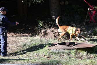 Vermisstensuche im Erzgebirge: Leichenspürhunde finden keine eindeutige Spur zu Oliver K. – Herkunft der gelben Gummistiefel geklärt - Manni aus einer bayrischen Polizeihundestaffel auf seiner zweiten Runde im Suchgebiet in Frohnau. Der Malinois-Rüde hat wie Polizeihündin Ebby aus Sachsen eine Ausbildung als Schutz- und Leichenspürhund. Am Dienstagnachmittag war extra auch dieser Wasserschacht geöffnet worden, der zum Stollensystem gehört.
