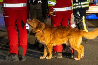 Vermisstensuche im Erzgebirge: Weitere Details zum Geschehen kommen ans Tageslicht - Bei der Suche nach dem vermissten Erzgebirger werden auch Hunde eingesetzt. Donnerstagnacht suchten Rettungshunde die beiden Einstiege in den Stollen ab. Angefordert seien laut Polizei erneut Suchhunde, möglicherweise sogar Leichenspürhunde.