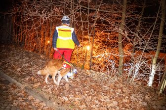 Vermisstensuche in Waldheim: 88-jähriger tot - Bei der Suche nach dem Vermissten in Waldheim wurde auch eine Rettungshundestaffel eingesetzt. Foto: