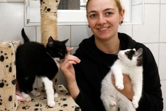 Vermittlungsstopp bringt Tierheim an seine Grenzen - Mitarbeiterin Larissa Lämmel mit drei jungen Katzen im Katzen-Kinderzimmer des Tierheims Langenberg. Die Aufnahmekapazitäten der Einrichtung für solche Tiere sind zurzeit erschöpft.