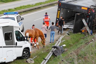 Verunglückte Apassionata-Pferde schon heute Abend wieder in der Show - Der Transporter mit den edlen Hengsten war wegen eines Reifenplatzers auf dem Weg nach Chemnitz auf der Autobahn A72 am Autobahnkreuz Chemnitz von der Fahrbahn abgekommen.