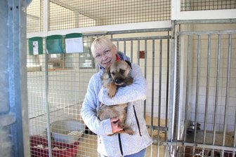 Verwahrloste Hunde in Hartha: Tiere in Sicherheit - Carmen Posner hält einen Border Terrier auf dem Arm. Das Tier ist eines von 22 Hunden, die aus dem Zuchtbetrieb gerettet wurden.