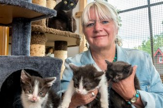 Verwahrloste Katzen gerettet: Helferin erhebt schwere Vorwürfe - Angelika Reimann und eine weitere Helferin haben die Katzen aufgenommen und sie in sofortige ärztliche Behandlung gegeben. Mittlerweile konnten einige Tiere bereits wieder vermittelt werden. 