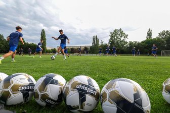 VfB Empor Glauchau: Was sich bei den Heimspielen in der Fußball-Oberliga gegenüber der Landesliga ändern wird - Beim VfB Empor Glauchau rollt wieder der Ball. Zum ersten Testspiel für die Oberliga-Saison wird am Mittwoch, 19 Uhr der ESV Lok Zwickau im Sportpark erwartet.