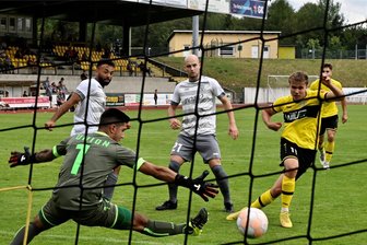 VFC Plauen: Werrmanns Dreierpack entscheidet - Luis Werrmann (vorn, rechts) erzielt hier seinen dritten Treffer binnen neun Minuten. Nach dem 0:1-Halbzeitstand befanden sich die Plauener damit gegen Union Sandersdorf auf der Siegerstraße.