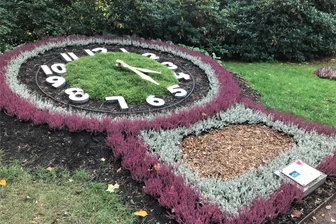 Videofalle an der Blumenuhr schnappt zu: Oberbürgermeister gibt Verdächtigem noch eine Chance - So zeigt sich die Blumenuhr im Stadtpark Hainichen derzeit mit der Herbstbepflanzung. Am 12. Oktober wurde dort ein Mann gefilmt, der sich an den Zeigern zu schaffen machte.