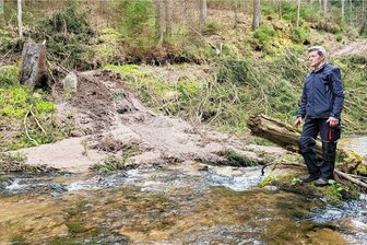Videokonferenz statt Exkursion: Minister diskutiert über Waldzerstörungen im Erzgebirge - Damit begann in diesem Jahr der Ärger: Forstmaschinen hatten im Tal der Großen Bockau einen Weg dermaßen zerstört, das Schlamm in den Fluss lief und das Wasser tagelang trübte. Auf dem Foto: GAW-Mitglied Christoph Irmisch.