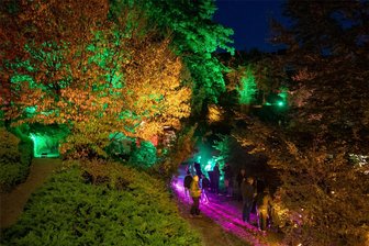 Viel buntes Licht und Musik locken nach Hohenstein-Ernstthal - Der Stadtgarten soll wieder bunt erstrahlen.