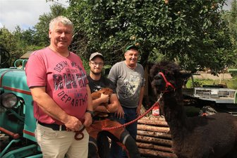 Viel mehr als nur Mümmelmänner: Kaninchenzüchter halten Dorfleben in Ellefeld in Schwung - Heiko Trommer, Nick Mosig und Roland Sterba (v.l.) bereiten zusammen mit vielen anderen Helfern das Fest vor. Alpakas und Neuseeländer Kaninchen gibt es dort auch zu sehen.