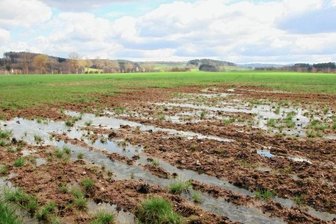 Viel Regen in diesem Frühjahr: Was das für die Bauern bedeutet - Wenn das Wasser auf den Feldern steht, wie hier in der Nähe von Lengenfeld, ist an eine Bearbeitung nicht zu denken. 