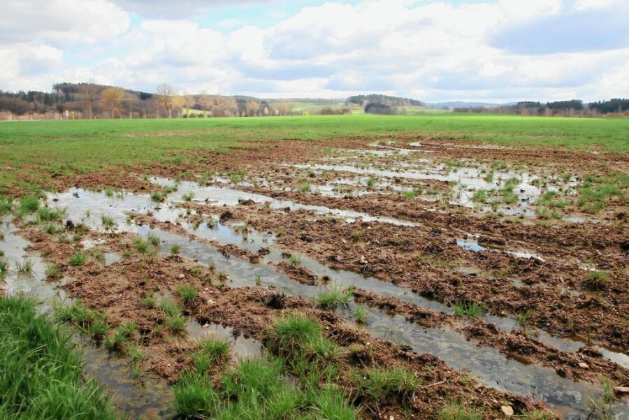 Viel Regen in diesem Frühjahr: Was das für die Bauern im Vogtland bedeutet - Wenn das Wasser auf den Feldern steht, wie hier in der Nähe von Lengenfeld, ist an eine Bearbeitung nicht zu denken.